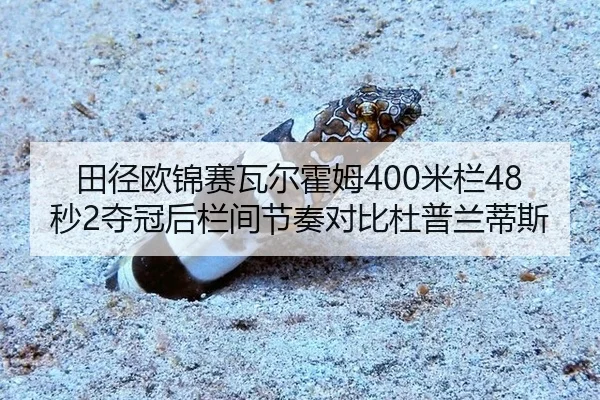 tian-jing-ou-jin-sai-wa-er-huo-mu-mi-lan-miao-duo-guan-hou-lan-jian-jie-zou-dui-bi-du-pu-lan-di-si-2-764.jpg